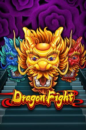 Dragon Fight