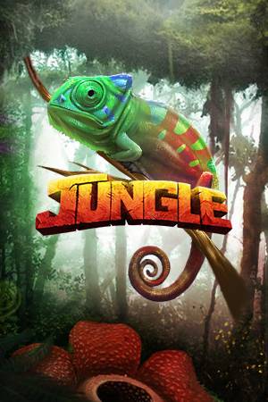 Jungle