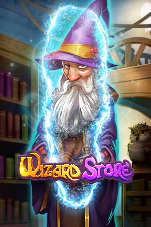 Wizard Store