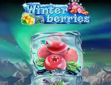 Winterberries